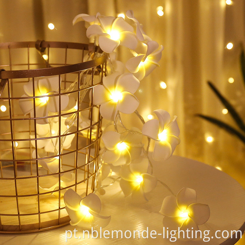 Christmas Decoration Lights
